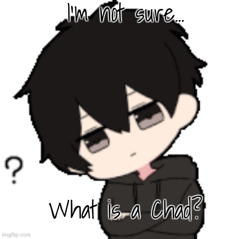 Shadow:What? | I'm not sure... What is a Chad? | image tagged in shadow what | made w/ Imgflip meme maker