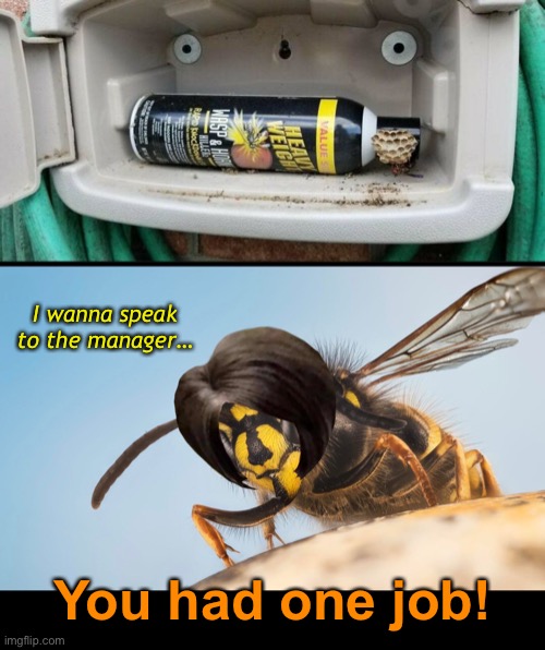 I wanna speak to the manager…; You had one job! | image tagged in funny memes,you had one job,wasps | made w/ Imgflip meme maker