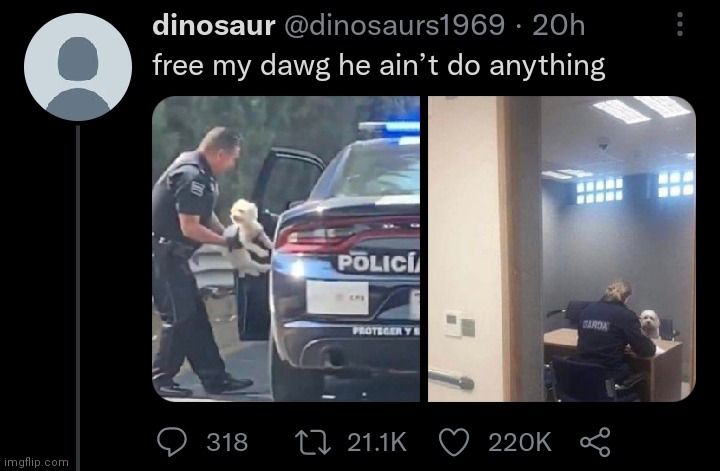 free that dog he done nothin | made w/ Imgflip meme maker