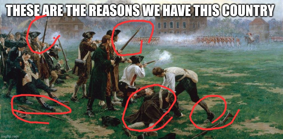 Happy Freedom From Tyranny Day | THESE ARE THE REASONS WE HAVE THIS COUNTRY | image tagged in happy freedom from tyranny day | made w/ Imgflip meme maker