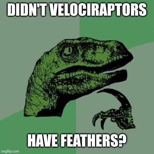 raptor | DIDN'T VELOCIRAPTORS; HAVE FEATHERS? | image tagged in raptor | made w/ Imgflip meme maker