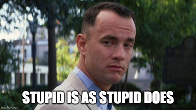 Forrest Gump | STUPID IS AS STUPID DOES | image tagged in forrest gump | made w/ Imgflip meme maker