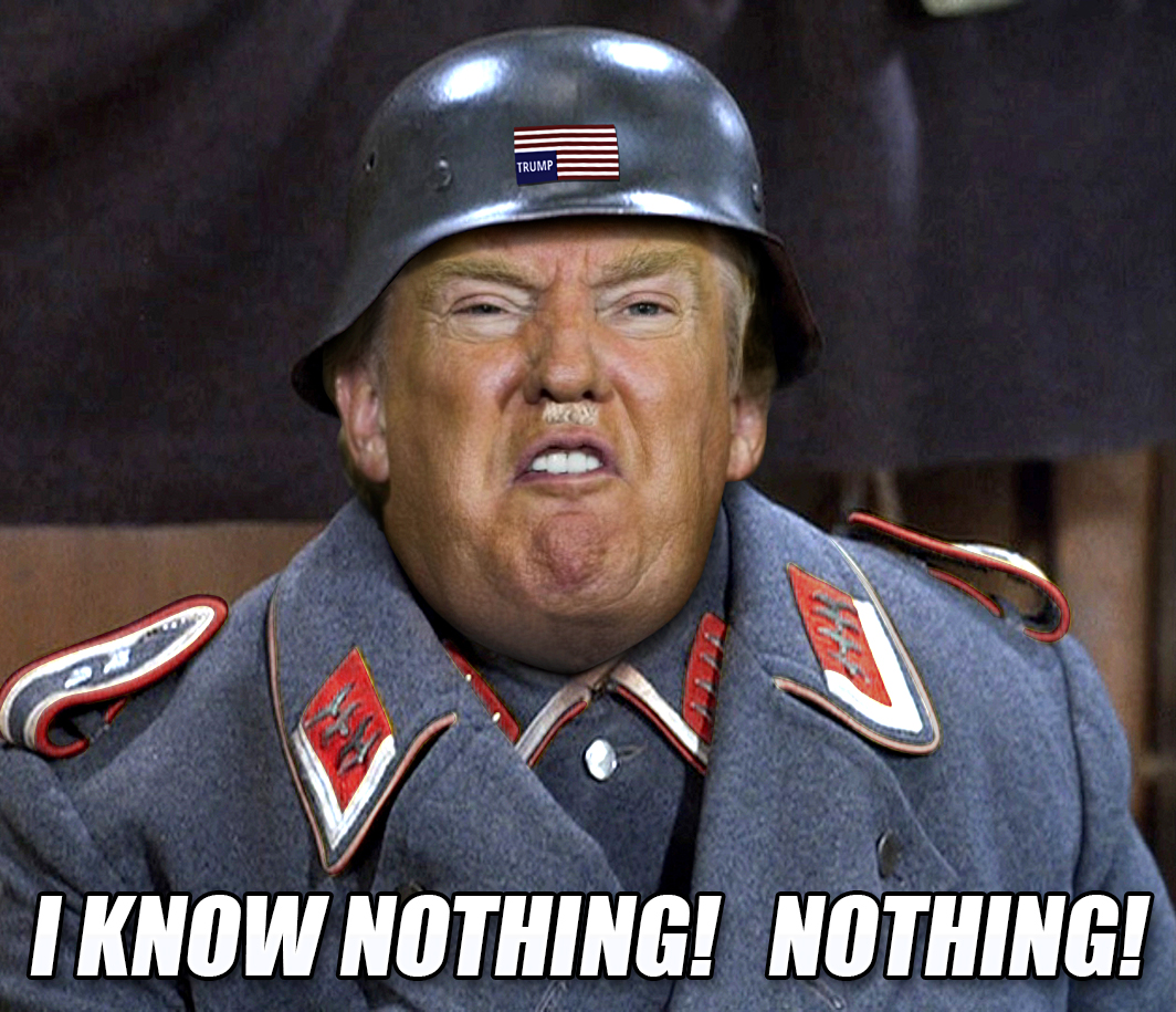 High Quality Trump Sgt. Schultz I know nothing Blank Meme Template