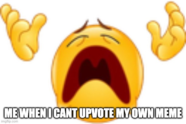 whyyyy | ME WHEN I CANT UPVOTE MY OWN MEME | image tagged in whyyyy | made w/ Imgflip meme maker