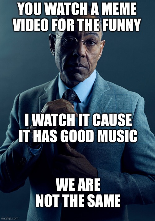 True | YOU WATCH A MEME VIDEO FOR THE FUNNY; I WATCH IT CAUSE IT HAS GOOD MUSIC; WE ARE NOT THE SAME | image tagged in gus fring we are not the same,true,funny,uhhhhhhhh | made w/ Imgflip meme maker