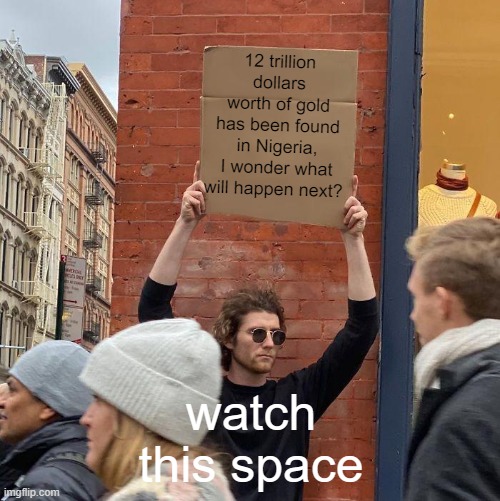 12 trillion dollars worth of gold has been found in Nigeria, I wonder what will happen next? watch this space | image tagged in memes,guy holding cardboard sign | made w/ Imgflip meme maker