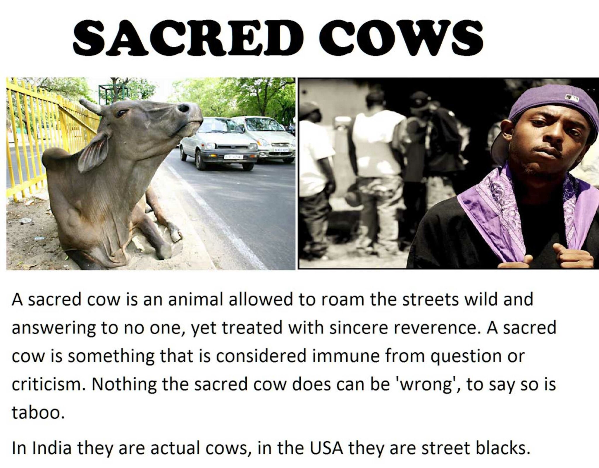 BLACKS IN USA TODAY Blank Meme Template