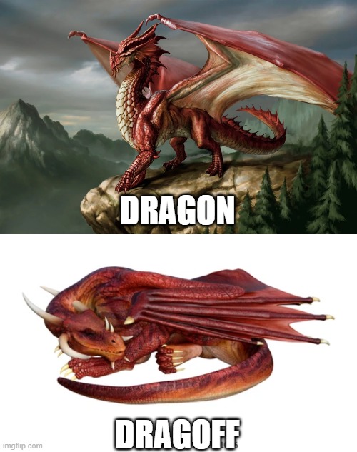 my humor is broken | DRAGON; DRAGOFF | image tagged in dragon,memes,just for fun | made w/ Imgflip meme maker