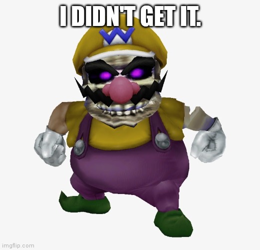 Dry Wario | I DIDN'T GET IT. | image tagged in dry wario | made w/ Imgflip meme maker