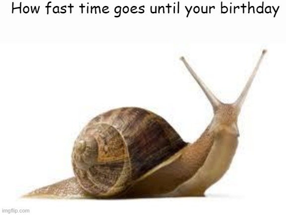 So Slow |  How fast time goes until your birthday | image tagged in snail,memes,relatable memes,relatable,birthday | made w/ Imgflip meme maker