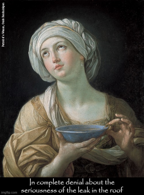 Leaking Roof | Portrait of a Woman, Guido Reni/minkpen; In complete denial about the seriousness of the leak in the roof | image tagged in art memes,baroque,roof,leaks,denial,houses | made w/ Imgflip meme maker