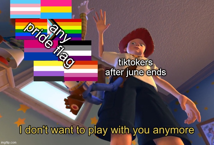 I don't want to play with you anymore | any pride flag; tiktokers after june ends | image tagged in i don't want to play with you anymore | made w/ Imgflip meme maker