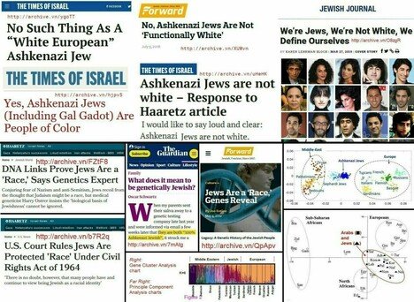 High Quality JEWS ARE NOT WHITE/EUROPEAN Blank Meme Template