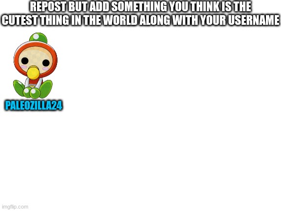 Blank White Template | REPOST BUT ADD SOMETHING YOU THINK IS THE CUTEST THING IN THE WORLD ALONG WITH YOUR USERNAME; PALEOZILLA24 | image tagged in blank white template | made w/ Imgflip meme maker