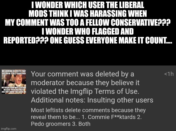 I WONDER WHICH USER THE LIBERAL MODS THINK I WAS HARASSING WHEN MY COMMENT WAS TOO A FELLOW CONSERVATIVE??? I WONDER WHO FLAGGED AND REPORTED??? ONE GUESS EVERYONE MAKE IT COUNT.... | made w/ Imgflip meme maker