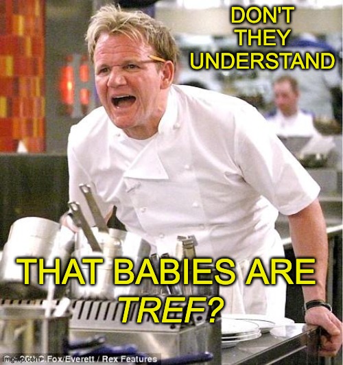 Chef Gordon Ramsay Meme | DON'T THEY UNDERSTAND THAT BABIES ARE TREF? | image tagged in memes,chef gordon ramsay | made w/ Imgflip meme maker