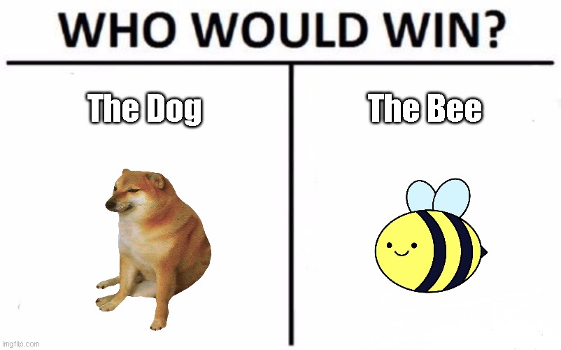 Who? | The Dog; The Bee | image tagged in memes,who would win | made w/ Imgflip meme maker