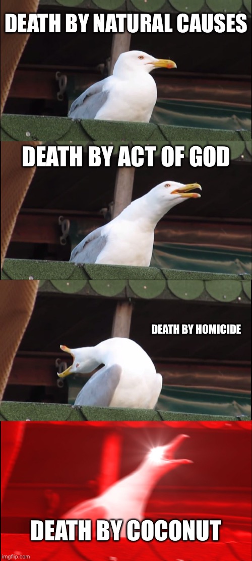 Inhaling Seagull Meme | DEATH BY NATURAL CAUSES DEATH BY ACT OF GOD DEATH BY HOMICIDE DEATH BY COCONUT | image tagged in memes,inhaling seagull | made w/ Imgflip meme maker