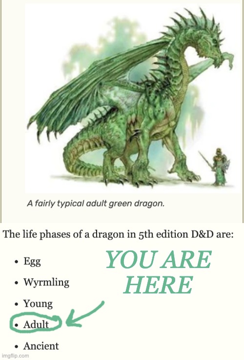 And man, I feel it in my clawbones | YOU ARE
HERE | image tagged in fairly typical dragon,dragon,adult | made w/ Imgflip meme maker
