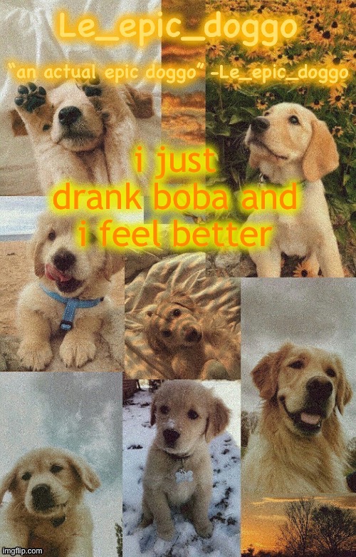 Doggo temp by doggo. Wait what that’s confusing | i just drank boba and i feel better | image tagged in doggo temp by doggo wait what that s confusing | made w/ Imgflip meme maker