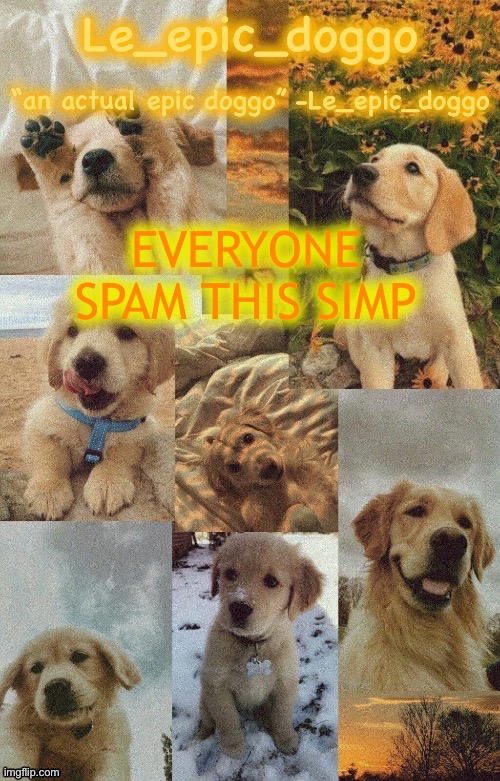 Doggo temp by doggo. Wait what that’s confusing | EVERYONE SPAM THIS SIMP | image tagged in doggo temp by doggo wait what that s confusing | made w/ Imgflip meme maker