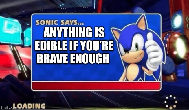 ? | ANYTHING IS EDIBLE IF YOU’RE BRAVE ENOUGH | image tagged in sonic says | made w/ Imgflip meme maker