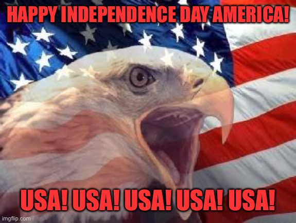 America: Love it or leave it | HAPPY INDEPENDENCE DAY AMERICA! USA! USA! USA! USA! USA! | image tagged in patriotic eagle | made w/ Imgflip meme maker