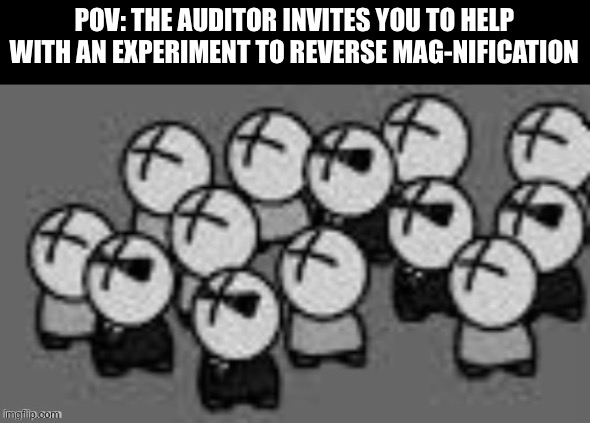 joke | POV: THE AUDITOR INVITES YOU TO HELP WITH AN EXPERIMENT TO REVERSE MAG-NIFICATION | made w/ Imgflip meme maker