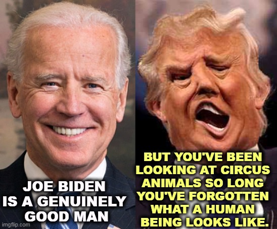 Biden human Trump animal | JOE BIDEN 

IS A GENUINELY 
GOOD MAN; BUT YOU'VE BEEN 
LOOKING AT CIRCUS 
ANIMALS SO LONG 
YOU'VE FORGOTTEN 
WHAT A HUMAN 
BEING LOOKS LIKE. | image tagged in biden smile trump crazy acid,biden,good,trump,circus,animal | made w/ Imgflip meme maker