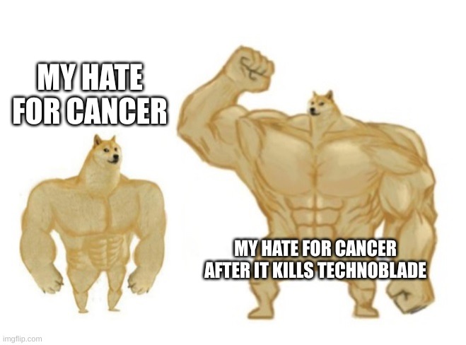my hate for cancer | MY HATE FOR CANCER; MY HATE FOR CANCER AFTER IT KILLS TECHNOBLADE | image tagged in buff doge god doge,technoblade | made w/ Imgflip meme maker