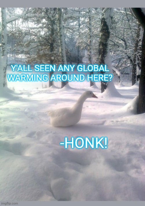 Y'ALL SEEN ANY GLOBAL WARMING AROUND HERE? -HONK! | made w/ Imgflip meme maker