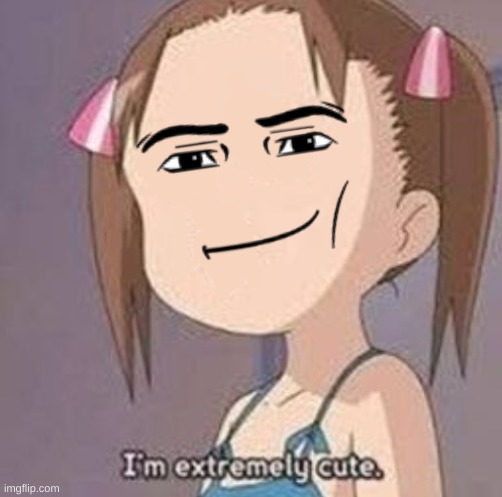 i have made it a temp | image tagged in i'm extremely cute girl blank face | made w/ Imgflip meme maker