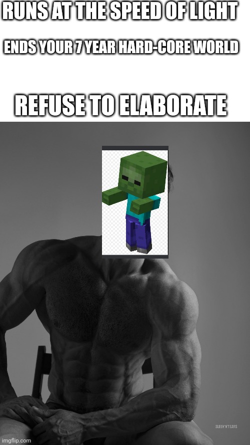 In reality we all hate them | RUNS AT THE SPEED OF LIGHT; ENDS YOUR 7 YEAR HARD-CORE WORLD; REFUSE TO ELABORATE | image tagged in blank white template,giga chad,memes,funny,minecraft | made w/ Imgflip meme maker