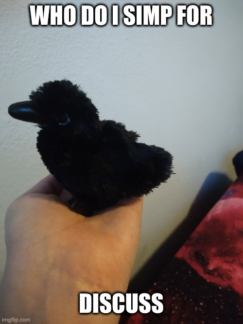 ñ | WHO DO I SIMP FOR; DISCUSS | image tagged in moolu's raven plushie | made w/ Imgflip meme maker