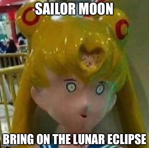 Sailor Moon | SAILOR MOON; BRING ON THE LUNAR ECLIPSE | image tagged in sailor moon,sailor,eclipse,no look | made w/ Imgflip meme maker