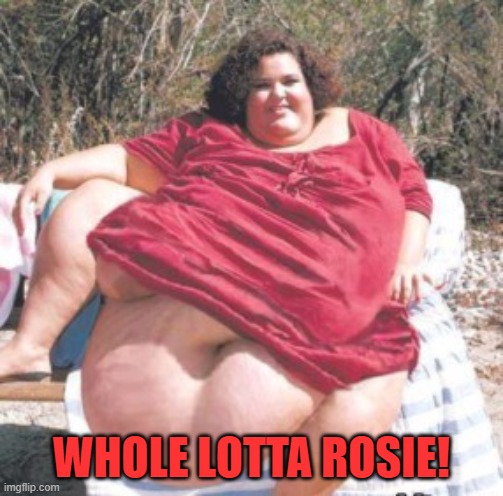 really fat chick | WHOLE LOTTA ROSIE! | image tagged in really fat chick | made w/ Imgflip meme maker