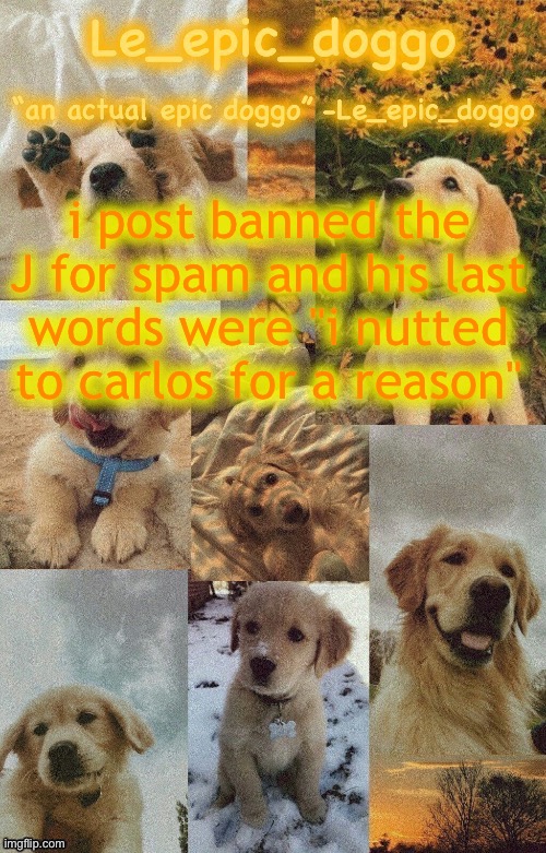 Doggo temp by doggo. Wait what that’s confusing | i post banned the J for spam and his last words were "i nutted to carlos for a reason" | image tagged in doggo temp by doggo wait what that s confusing | made w/ Imgflip meme maker