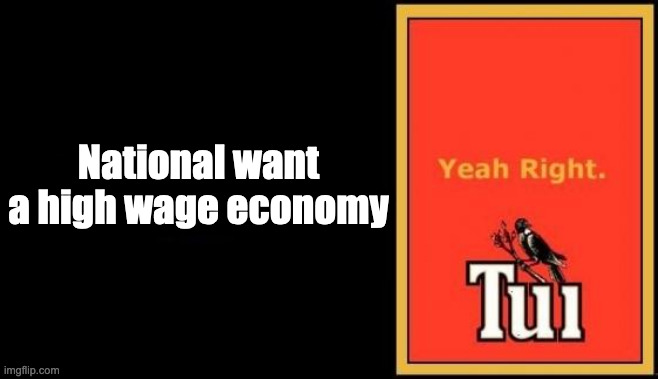National want a high wage economy | National want a high wage economy | image tagged in tui | made w/ Imgflip meme maker