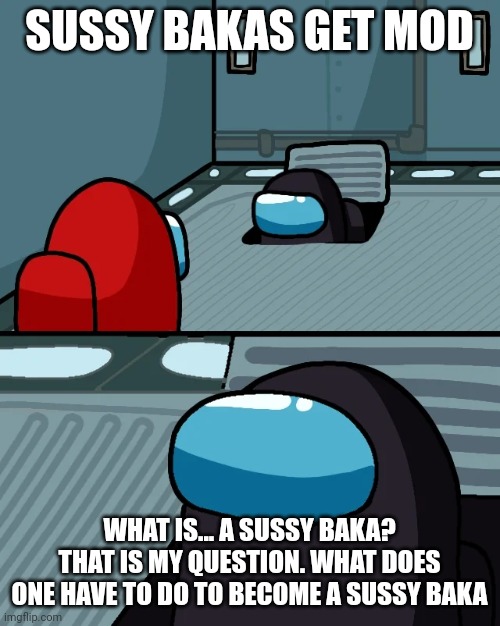 Hmm | SUSSY BAKAS GET MOD; WHAT IS... A SUSSY BAKA? THAT IS MY QUESTION. WHAT DOES ONE HAVE TO DO TO BECOME A SUSSY BAKA | image tagged in impostor of the vent | made w/ Imgflip meme maker