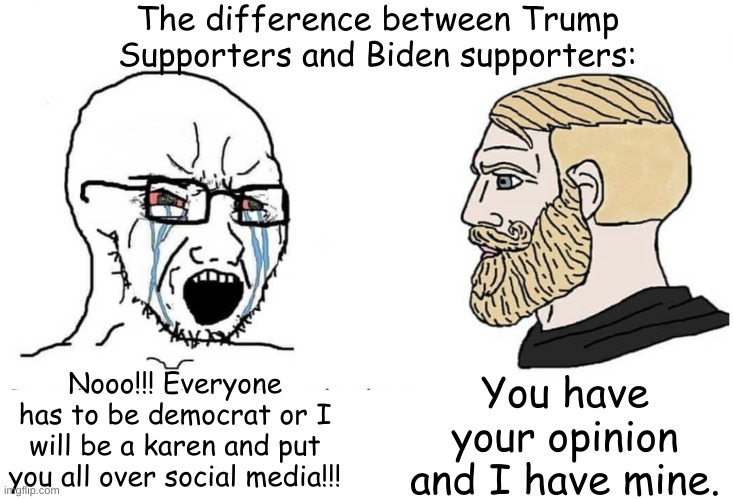 No wonder liberal posts have comments disabled. Too sad and pathetic to take a little bit of sense. | The difference between Trump Supporters and Biden supporters:; Nooo!!! Everyone has to be democrat or I will be a karen and put you all over social media!!! You have your opinion and I have mine. | image tagged in soyboy vs yes chad | made w/ Imgflip meme maker