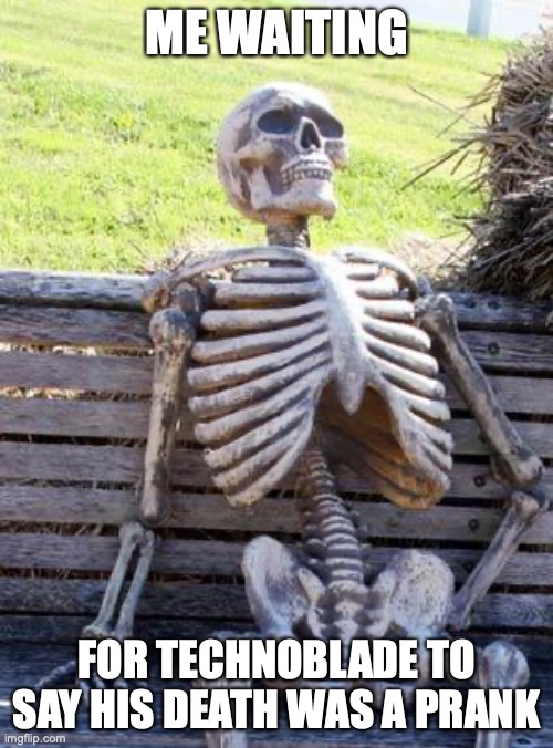 sad :C | ME WAITING; FOR TECHNOBLADE TO SAY HIS DEATH WAS A PRANK | image tagged in memes,waiting skeleton | made w/ Imgflip meme maker