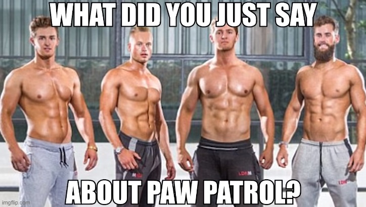 image tagged in memes,paw patrol | made w/ Imgflip meme maker