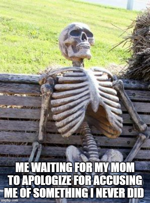 waiting | ME WAITING FOR MY MOM TO APOLOGIZE FOR ACCUSING ME OF SOMETHING I NEVER DID | image tagged in memes,waiting skeleton | made w/ Imgflip meme maker