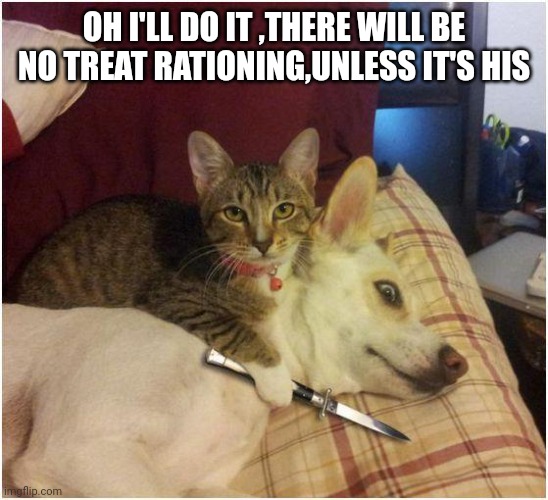 Warning killer cat | OH I'LL DO IT ,THERE WILL BE NO TREAT RATIONING,UNLESS IT'S HIS | image tagged in warning killer cat | made w/ Imgflip meme maker