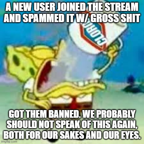 ESPECIALLY BUN'S AND DRAGONC'S | A NEW USER JOINED THE STREAM AND SPAMMED IT W/ GROSS SHIT; GOT THEM BANNED. WE PROBABLY SHOULD NOT SPEAK OF THIS AGAIN, BOTH FOR OUR SAKES AND OUR EYES. | made w/ Imgflip meme maker