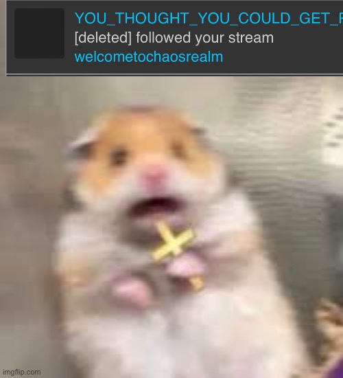 OHNO | image tagged in screaming hamster | made w/ Imgflip meme maker