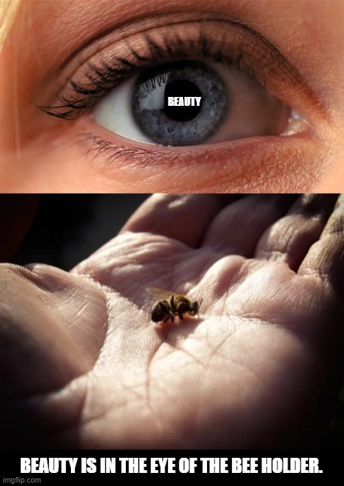 BEAUTY; BEAUTY IS IN THE EYE OF THE BEE HOLDER. | image tagged in eye,hand holding bee | made w/ Imgflip meme maker