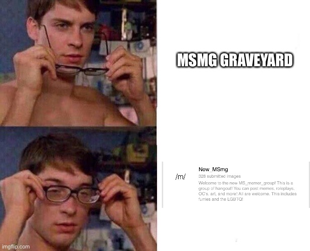 Spiderman Glasses | MSMG GRAVEYARD | image tagged in spiderman glasses | made w/ Imgflip meme maker