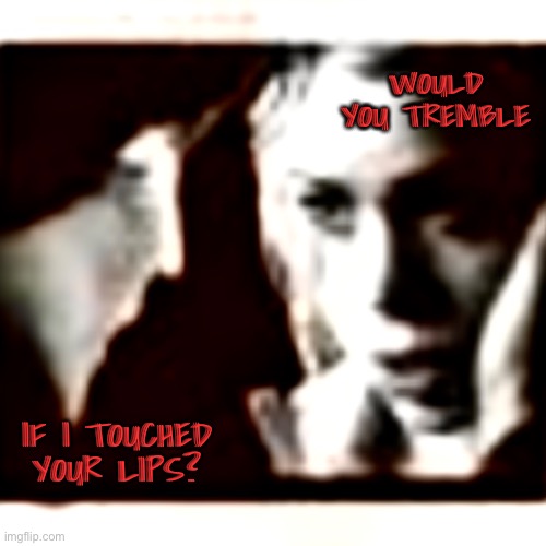 Would you tremble | WOULD YOU TREMBLE; IF I TOUCHED YOUR LIPS? | image tagged in doctor who,rose tyler | made w/ Imgflip meme maker