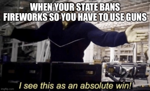 American logic | WHEN YOUR STATE BANS FIREWORKS SO YOU HAVE TO USE GUNS | image tagged in i see this as an absolute win | made w/ Imgflip meme maker